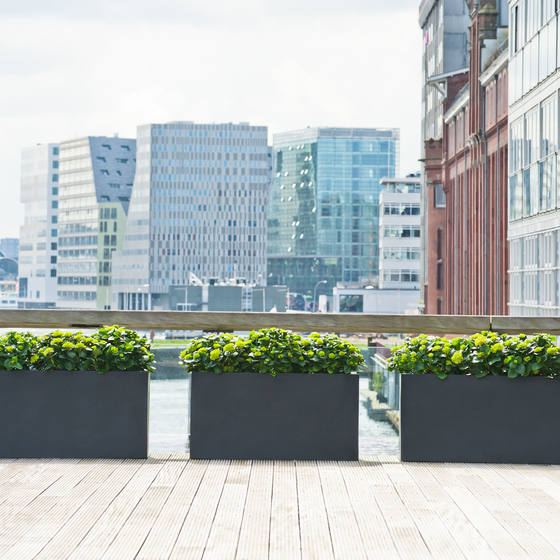 Plantenbak Jort - Afbeelding 5